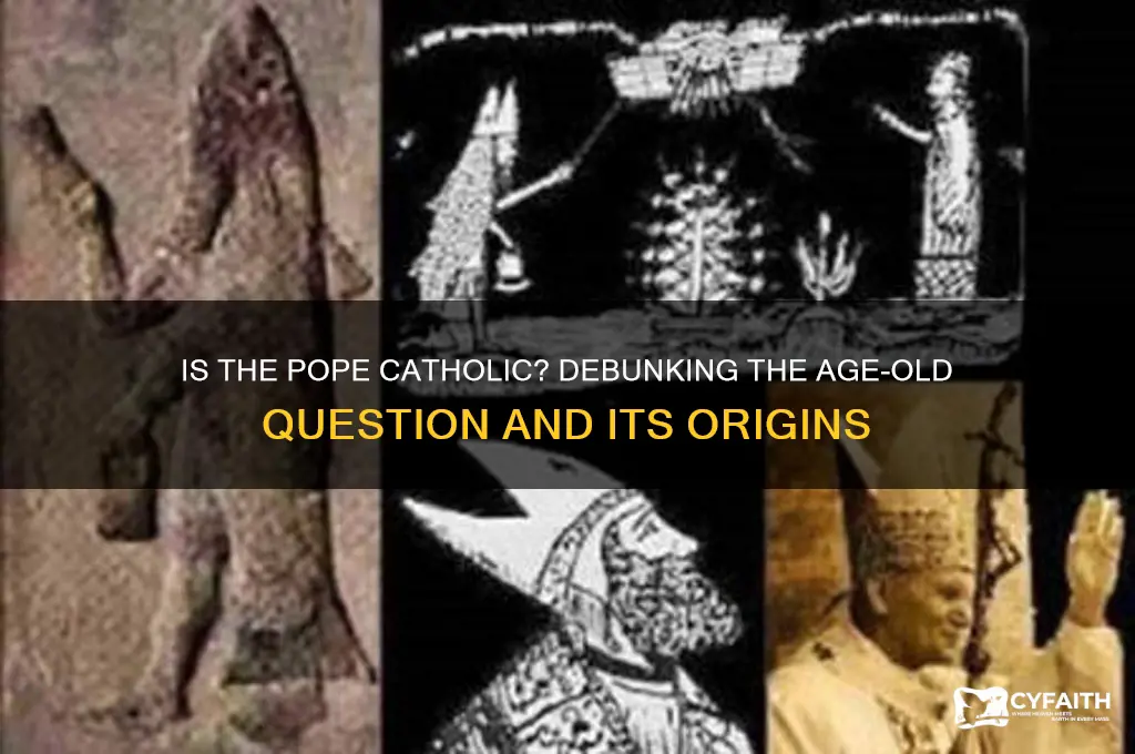 is the pope even catholic
