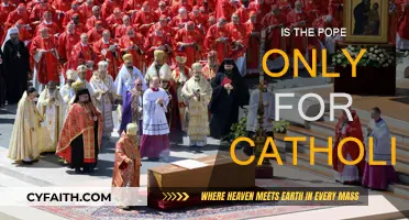 The Pope: A Catholic Faith Leader
