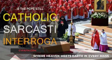 Is the Pope Catholic? A Sarcastic Interrogation