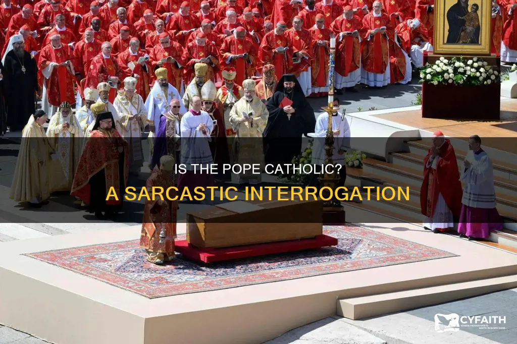 is the pope still catholic sarcastic interrogative