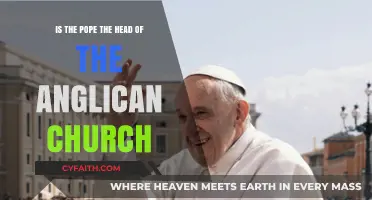 Is the Pope the Leader of the Anglican Church?