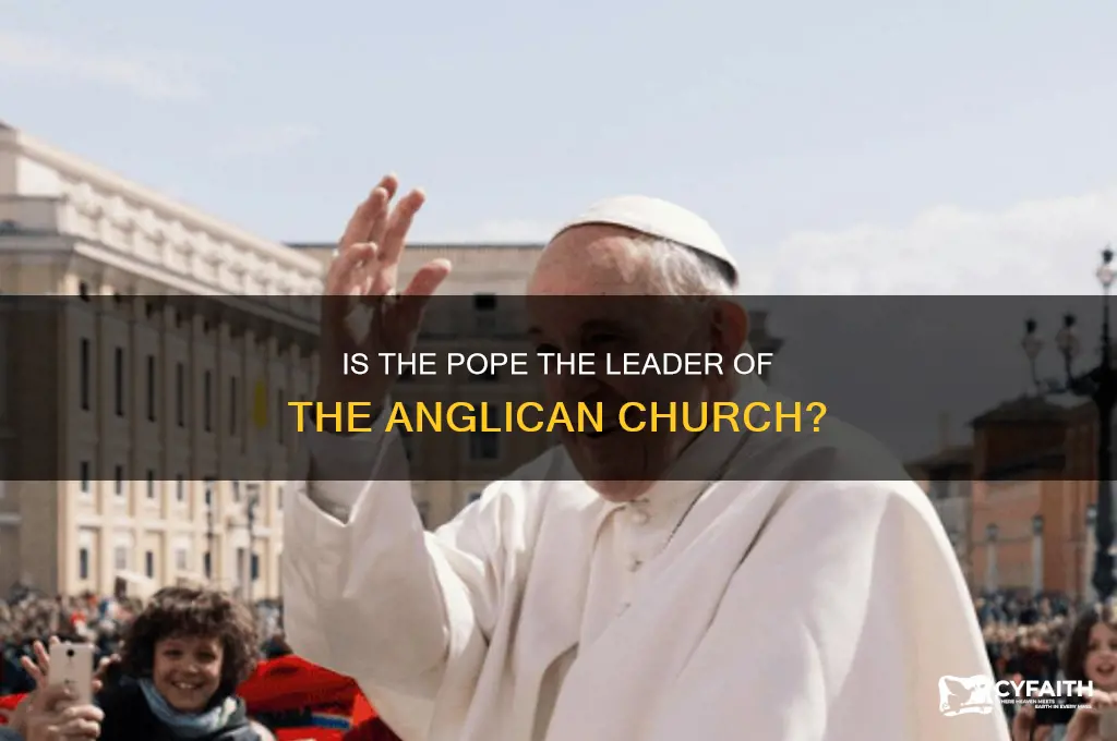 is the pope the head of the anglican church