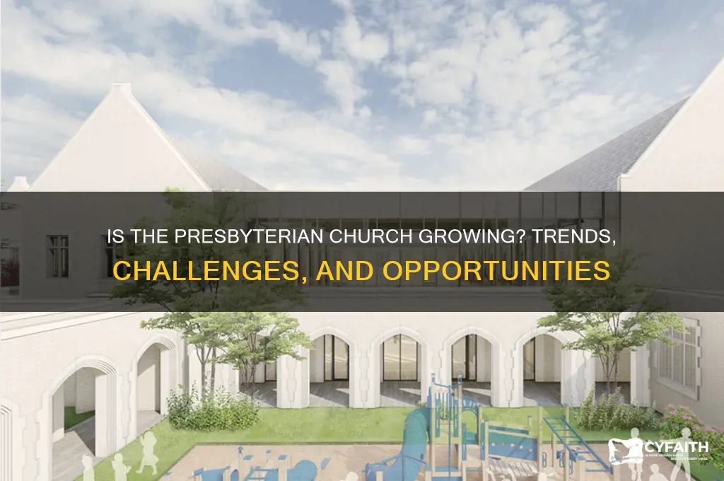 is the presbyterian church growing