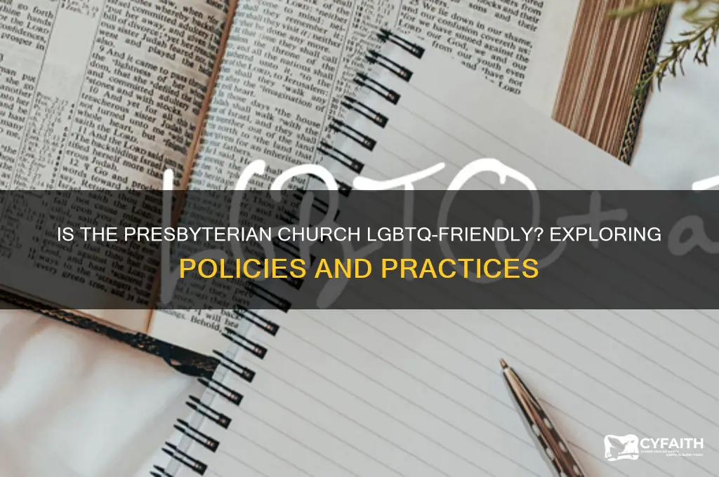 is the presbyterian church lgbtq friendly