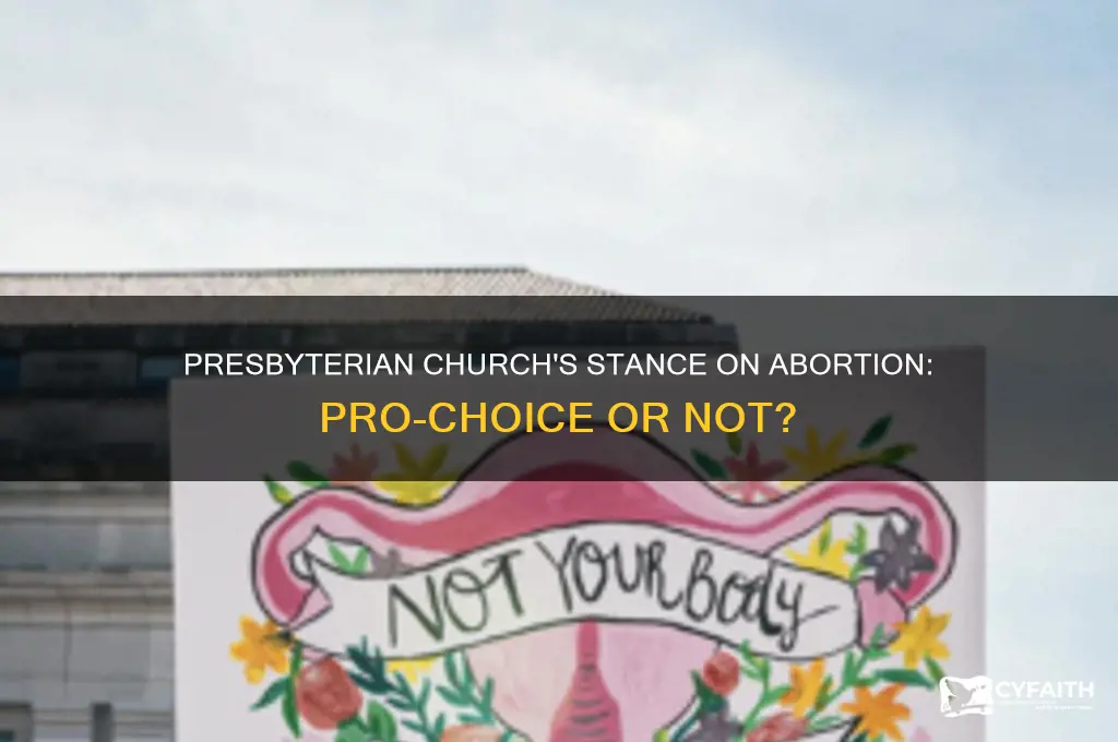 is the presbyterian church pro choice