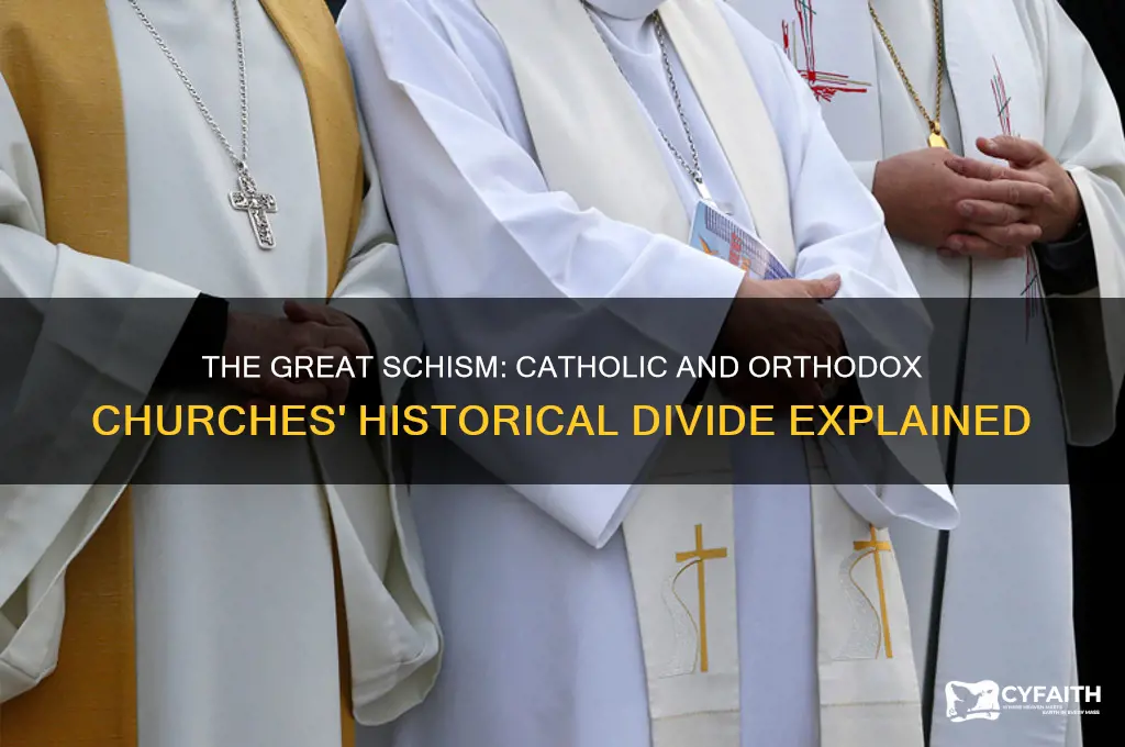 is the roman catholic church and the orthodox church split