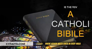 The RSV Bible: Catholic Edition Explained