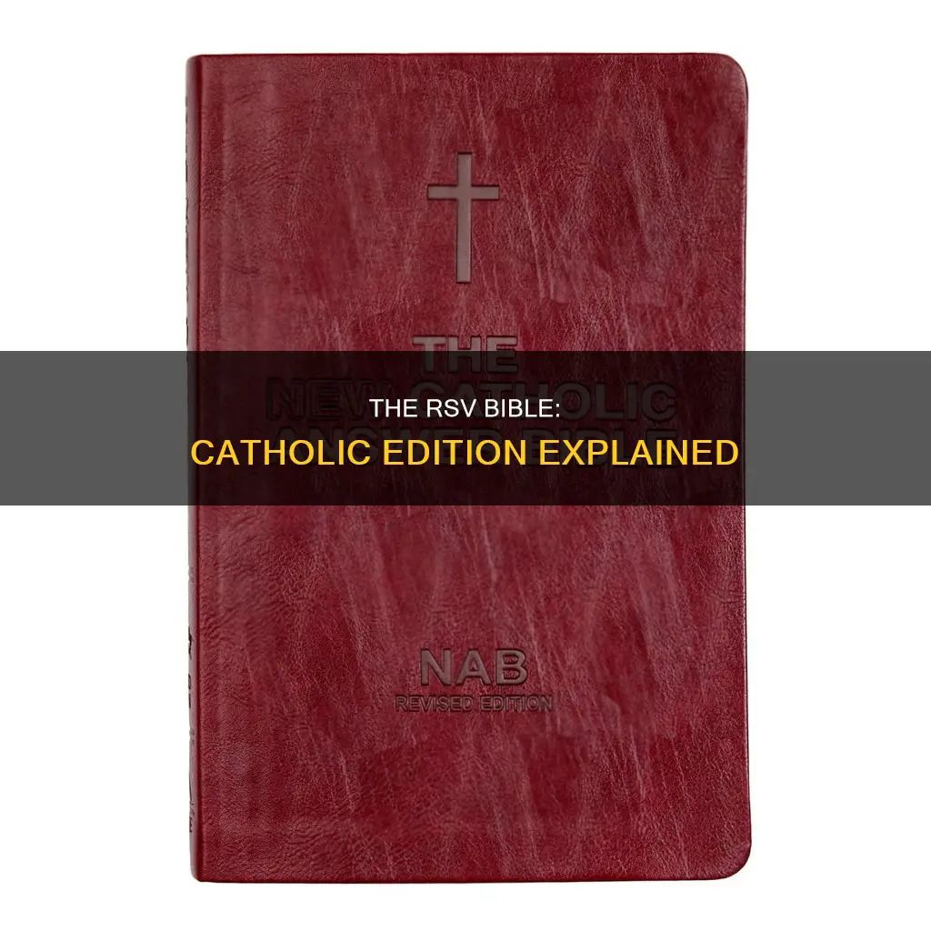 is the rsv a catholic bibile