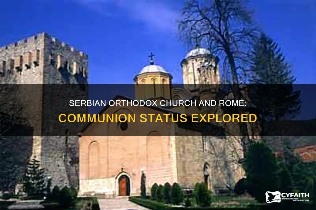 is the serbian orthodox church in communion with rome