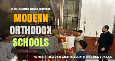 Modern Orthodox Schools and the Shamesh Tennah: Recited or Forgotten?