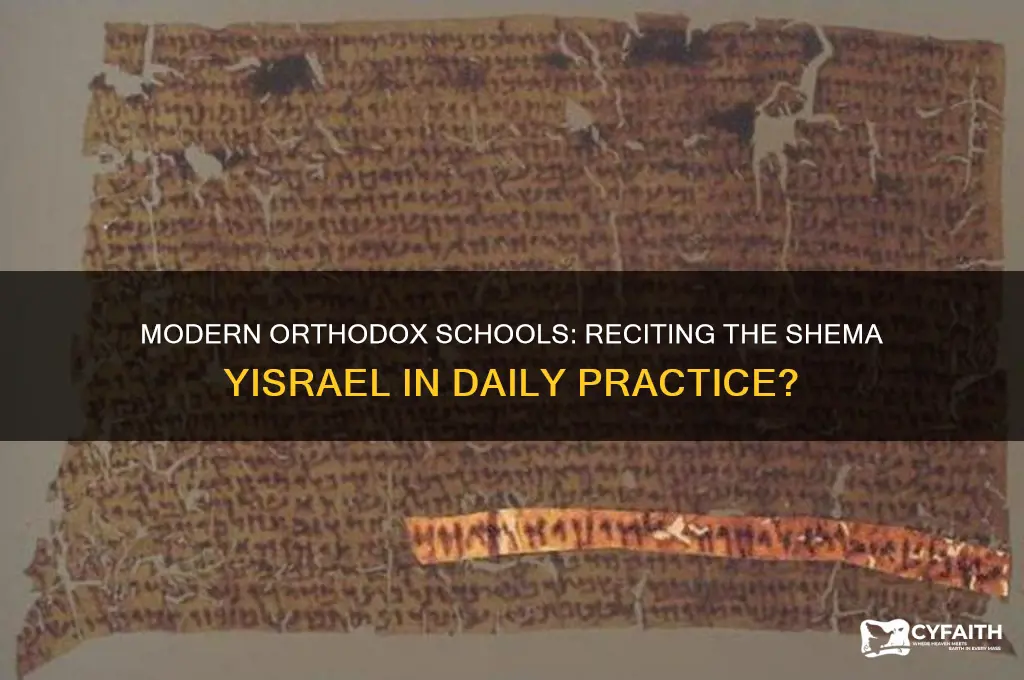 is the shimah isreal recited in modern orthodox schools