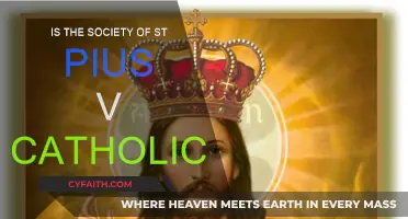 St. Pius V Society: Catholic or Not?