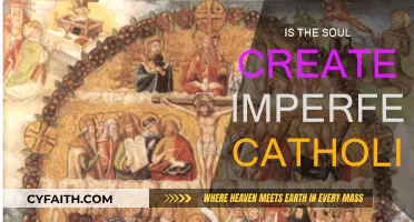 The Soul's Imperfect Creation: A Catholic Perspective