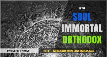 Exploring Orthodox Beliefs: Is the Soul Truly Immortal?