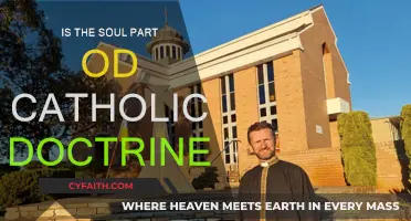 Soul's Existence: Catholic Doctrine's Core Belief