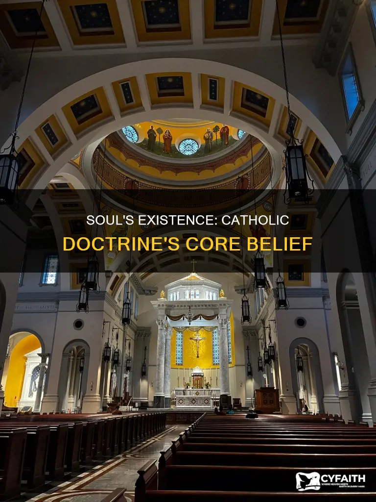 is the soul part od catholic doctrine