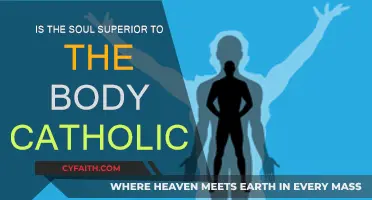Soul vs. Body: Catholic Perspective on Superiority