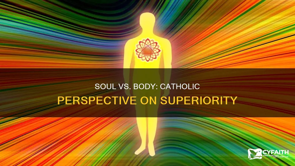 is the soul superior to the body catholic