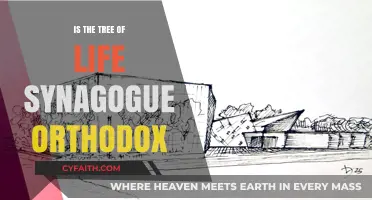 Is Tree of Life Synagogue Orthodox? Exploring Its Religious Affiliation