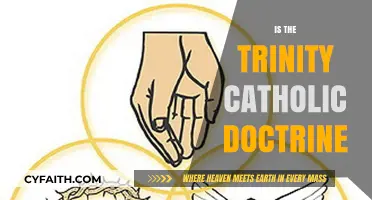 Understanding the Trinity: Catholic Doctrine Explained and Debated