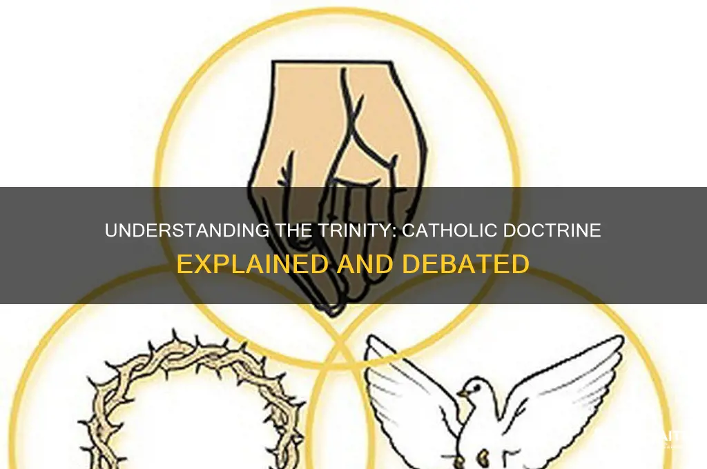 is the trinity catholic doctrine