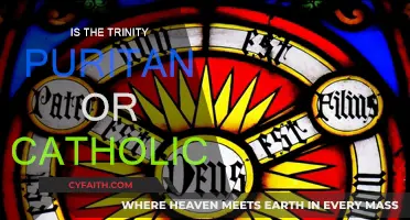 The Trinity: Puritan or Catholic?