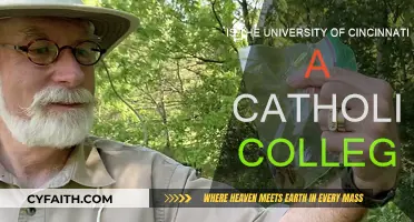 Cincinnati University: Catholic or Secular?