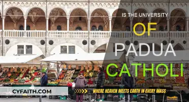 Padua University: Catholic Education in Italy