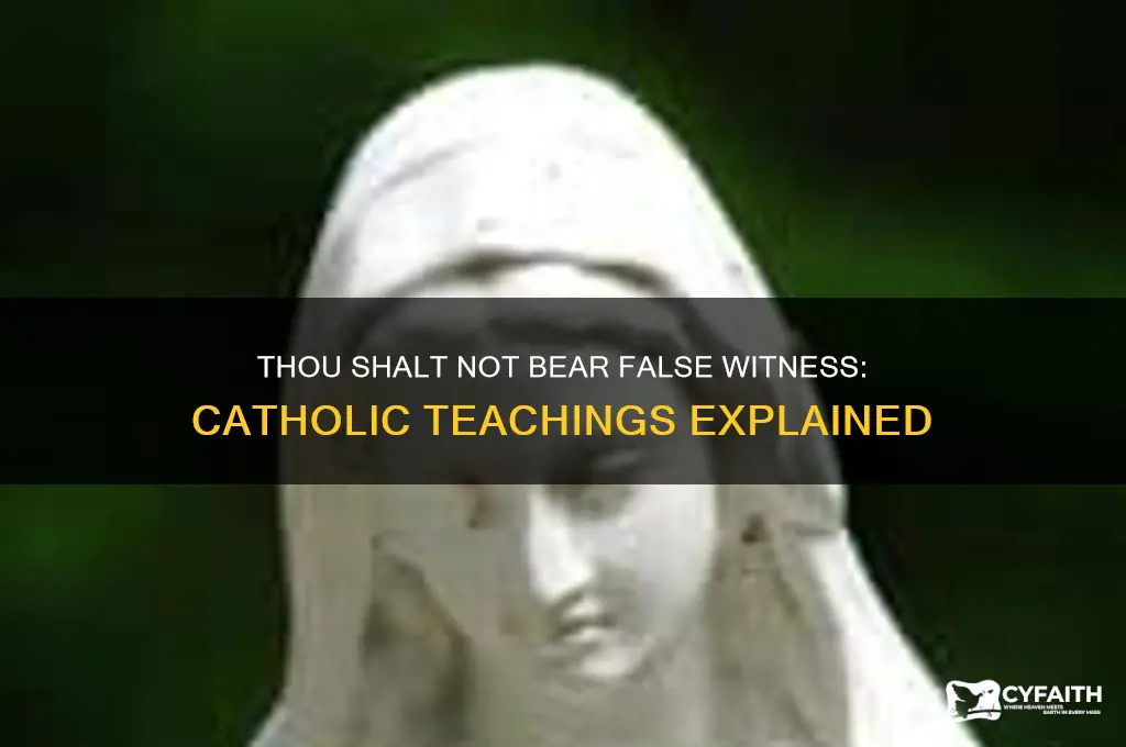 is the verse thou shalt not bear false witness catholic