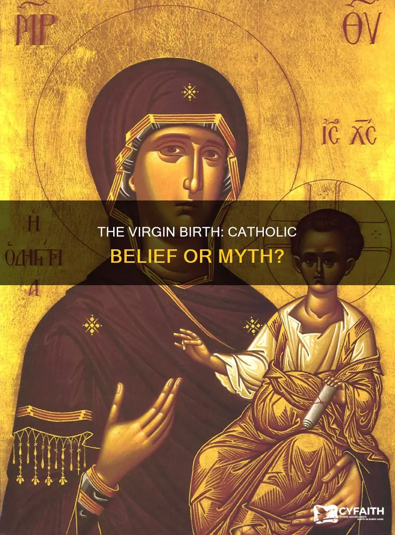 is the virgin birth a catholic