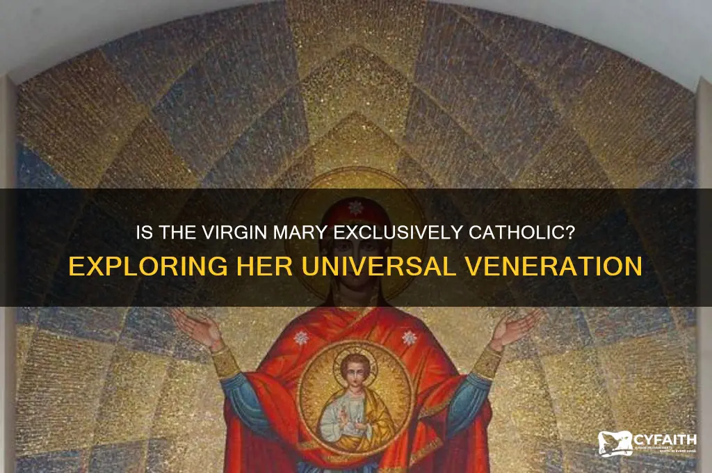 is the virgin mary catholic