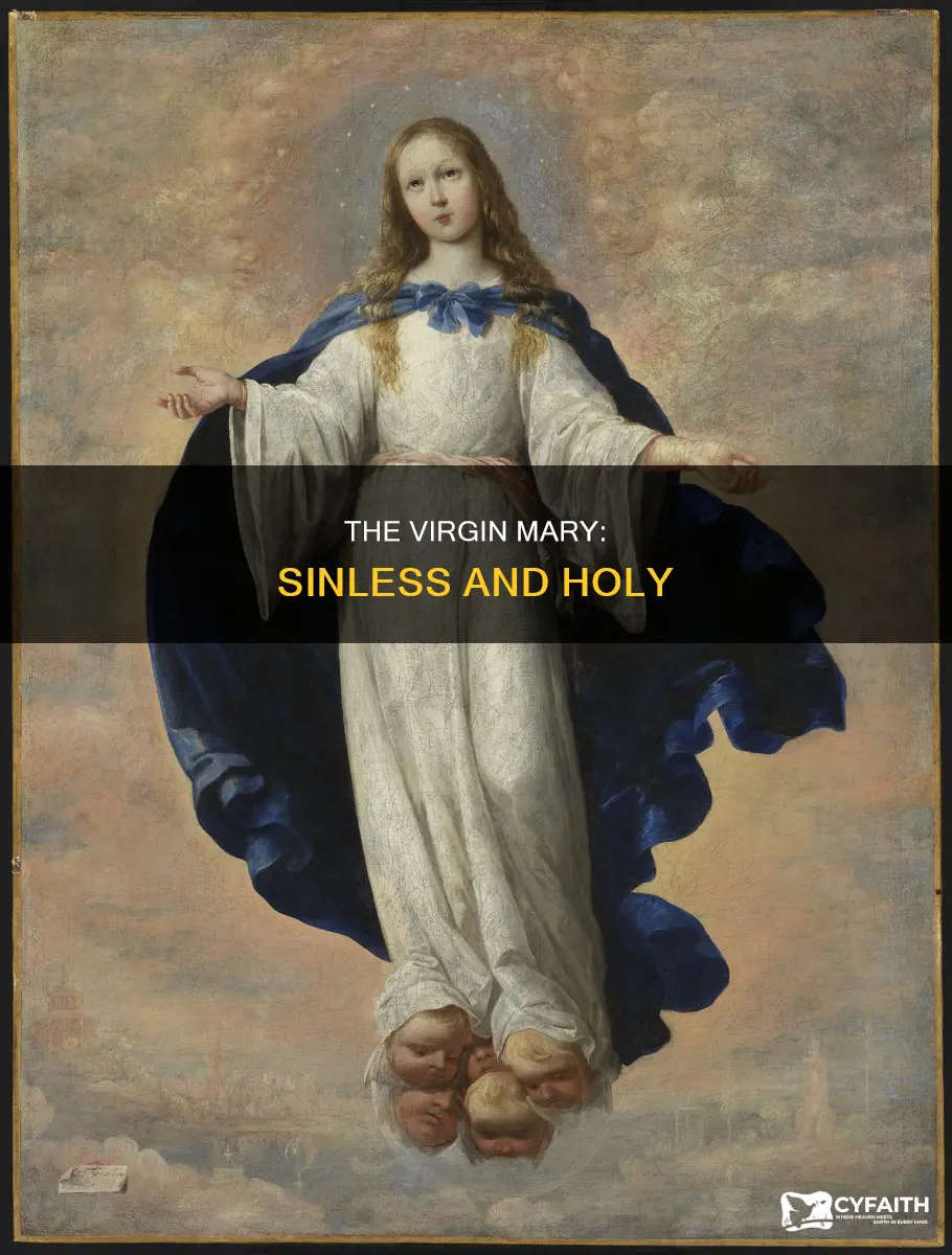 is the virgin mary sinless catholic