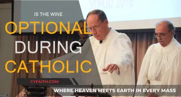 Wine in Catholic Mass: Optional or Essential?