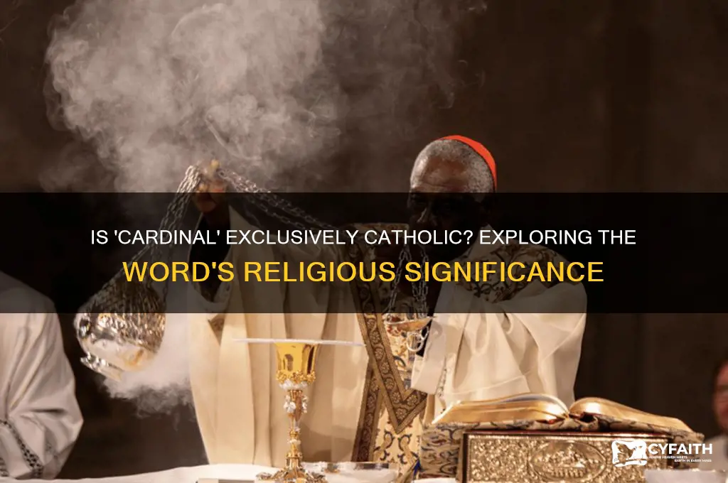 is the word cardinal catholic