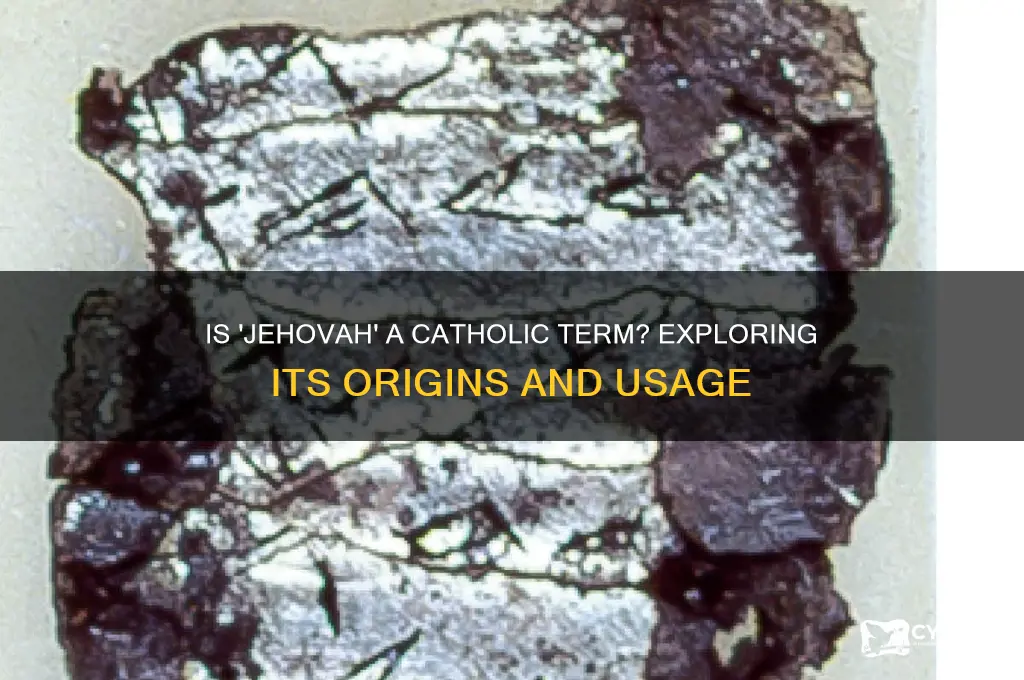 is the word jehova catholic