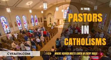 Do Catholics Have Pastors? Understanding Catholic Church Leadership Roles