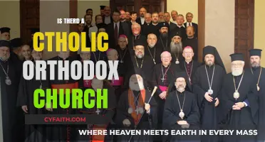 Exploring the Relationship Between Catholic and Orthodox Churches: Unity or Division?