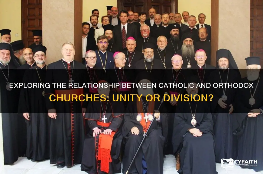 is therd a ctholic orthodox church