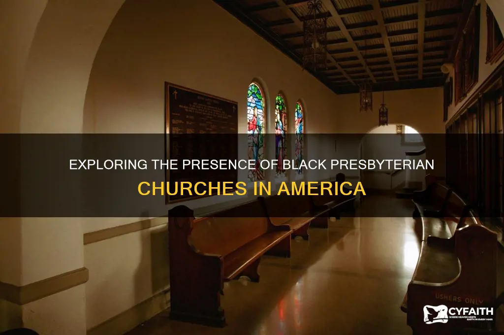 is there a black presbyterian church
