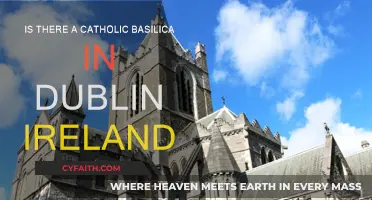 Explore the Catholic Basilica in Dublin, Ireland
