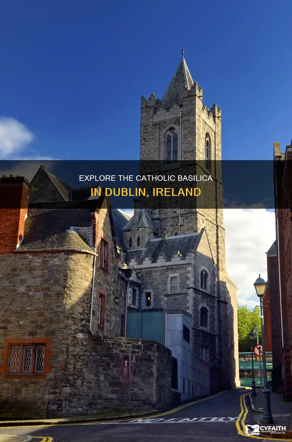 is there a catholic basilica in dublin ireland
