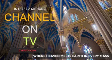 Catholic TV Channels: Religious Programming Options