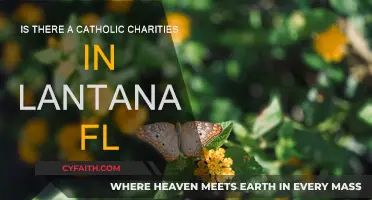 Catholic Charities: Lantana, FL Services and Support