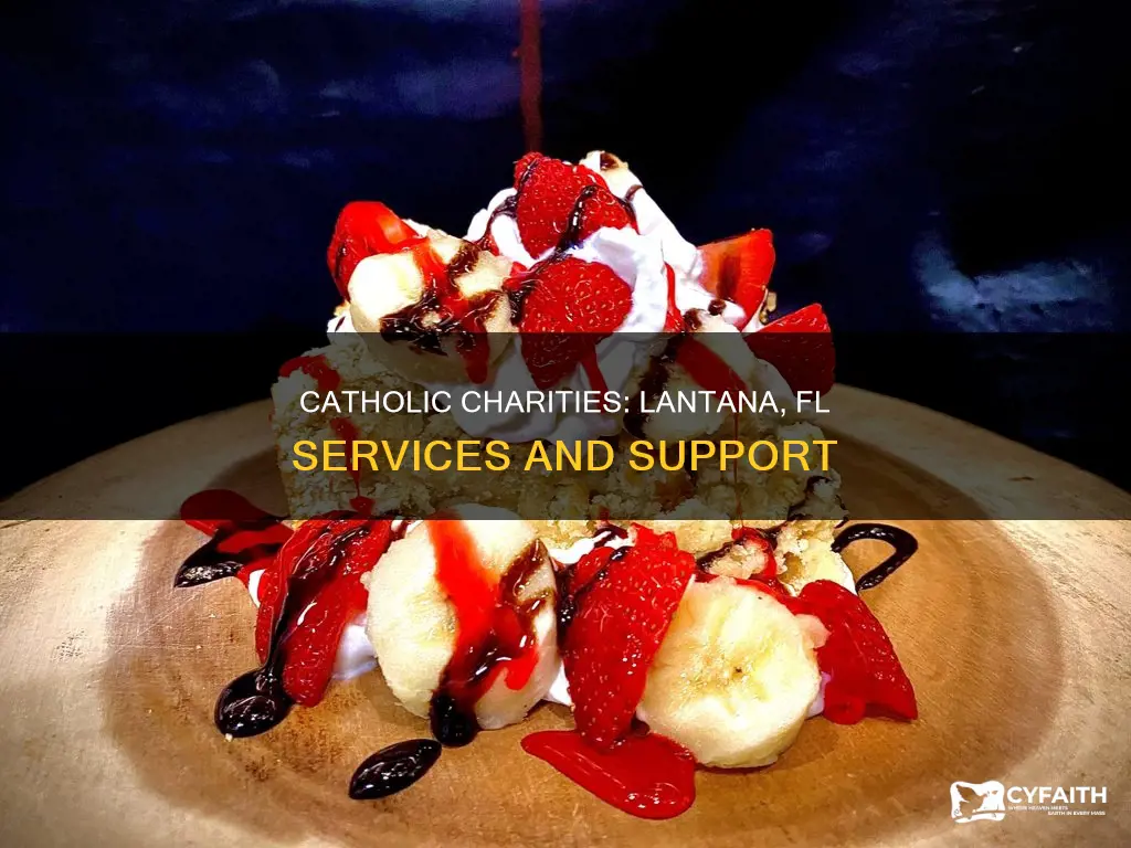is there a catholic charities in lantana fl