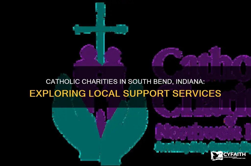 is there a catholic charities in south bend indiana