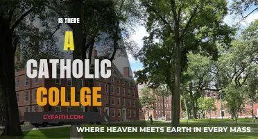 Exploring Catholic Higher Education: Are There Catholic Colleges?