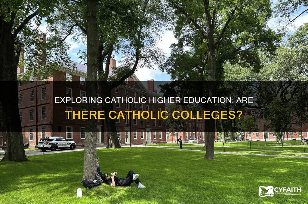 is there a catholic collge