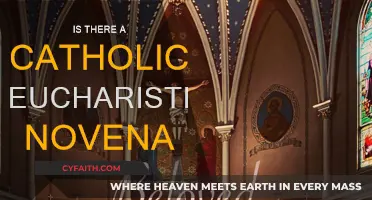 How to Prepare for a Eucharistic Novena