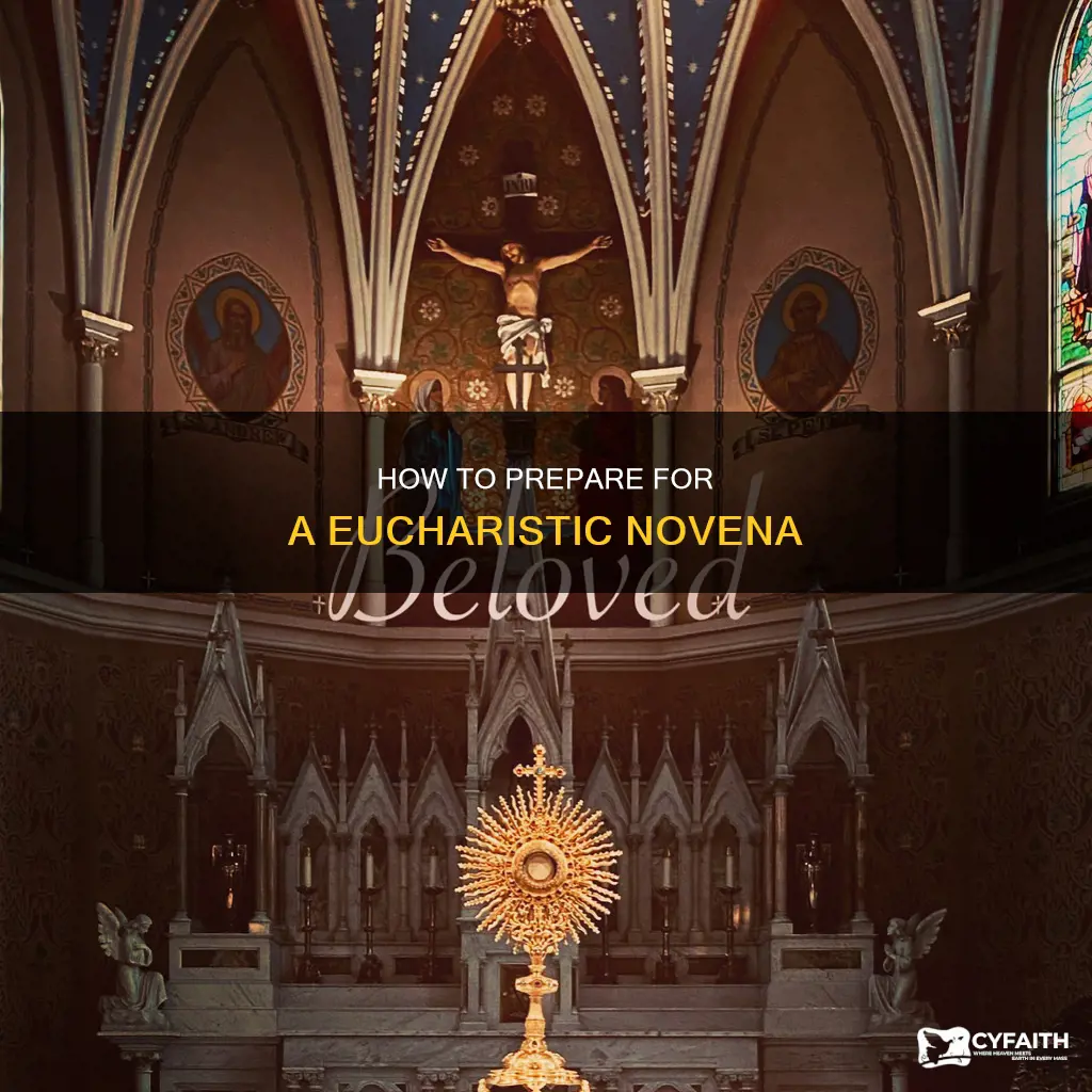 is there a catholic eucharistic novena