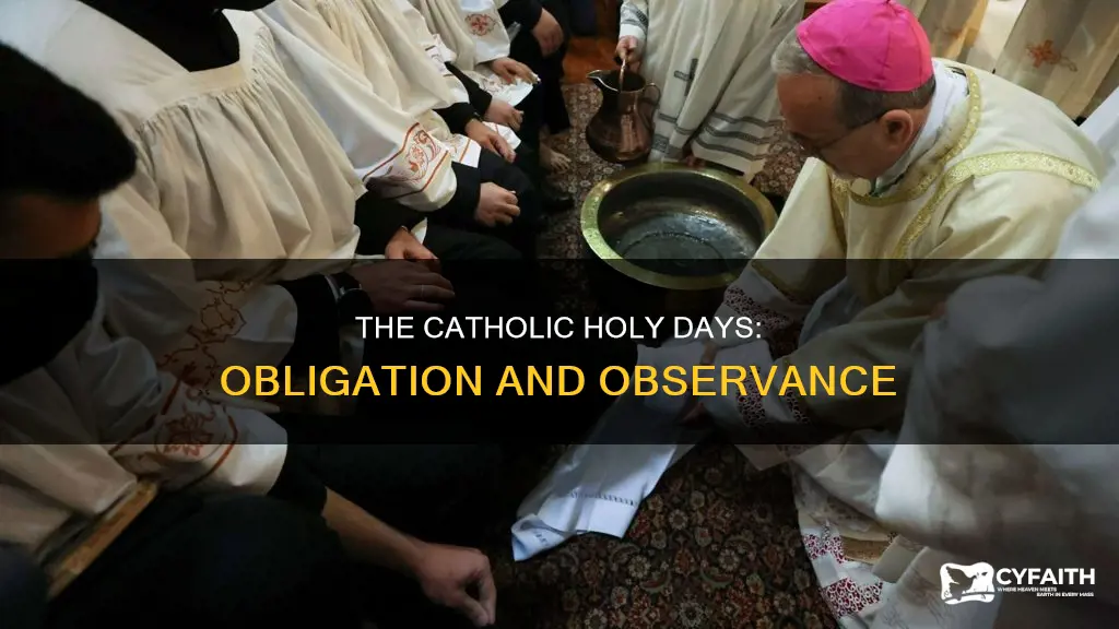 is there a catholic holy day of obligation